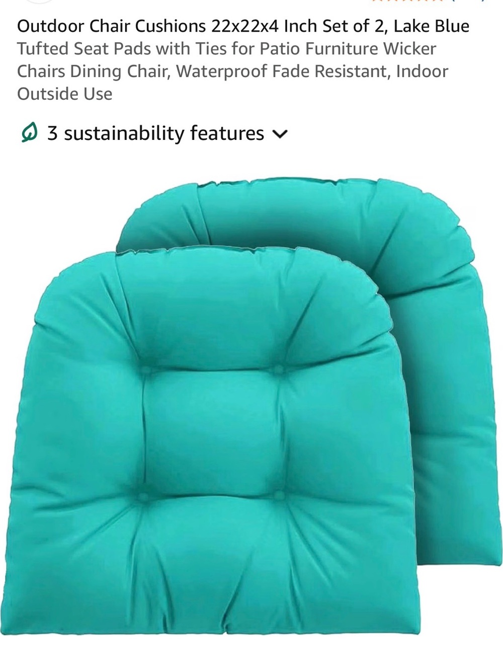 Lake Blue Tufted Outdoor Chair Cushions 
ONLY ONE PILLOW
